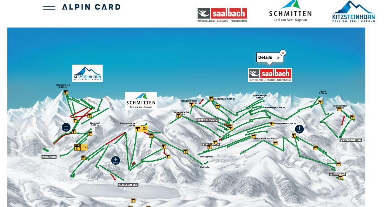 Magali'S, Bed & Breakfast - Inclusive Summer Card Zell am See Ngoại thất bức ảnh